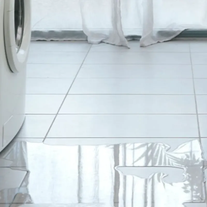 Appliance Leak Cleanup in Belvidere, IL