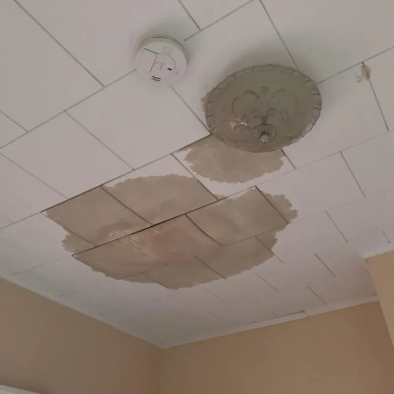 Ceiling Water Damage Repair in Belvidere, IL