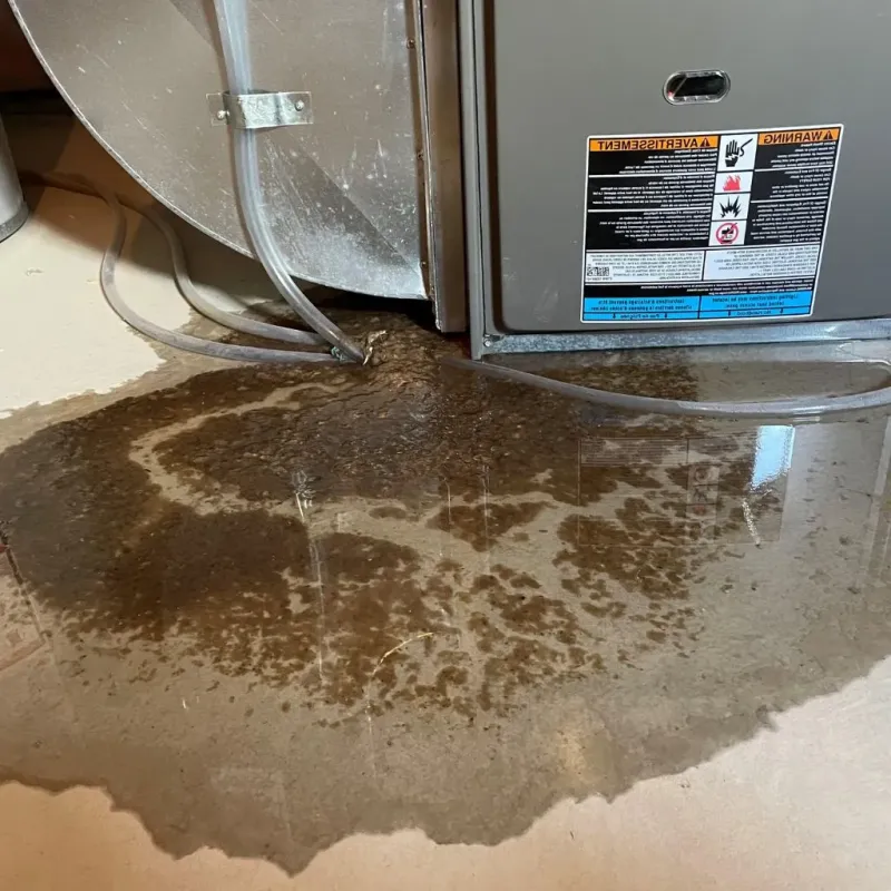 Pipe Burst and Leak Restoration in Belvidere, IL