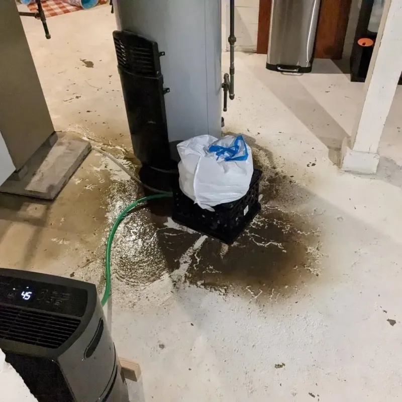 Sewage Backup Cleanup Service in Belvidere, IL